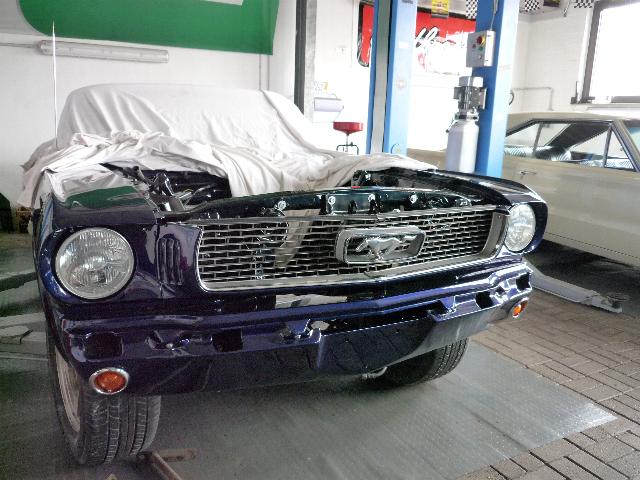 Mustang66u
